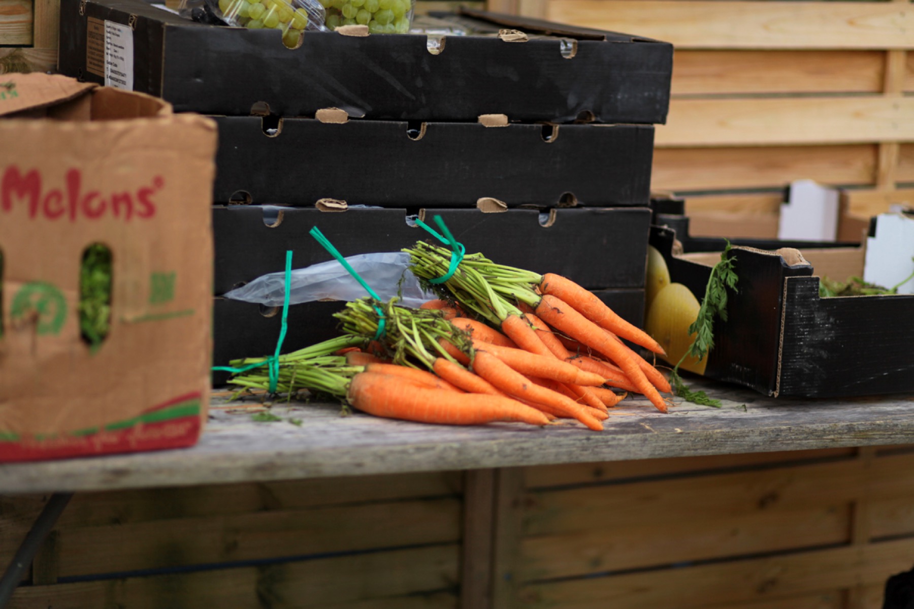 Kratten wortels op de markt van Stichting Free Food Market